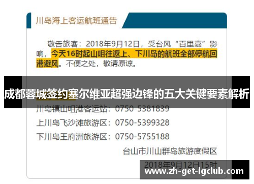 成都蓉城签约塞尔维亚超强边锋的五大关键要素解析