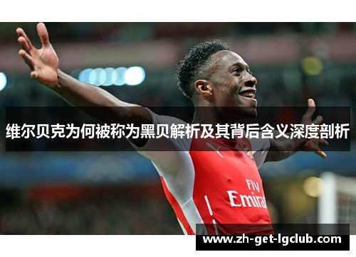 维尔贝克为何被称为黑贝解析及其背后含义深度剖析