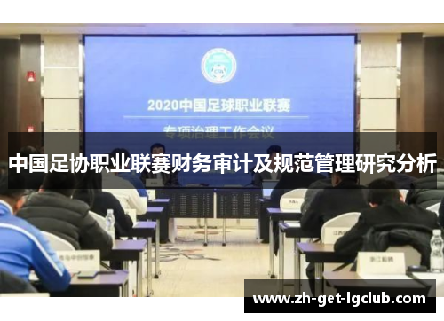 中国足协职业联赛财务审计及规范管理研究分析 中国足协职业联赛财务审计及规范管理研究分析